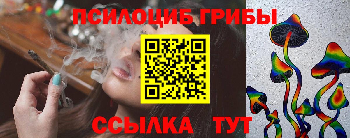 Ковров  Псилоцибиновые грибы Magic Shrooms  Вход с VPN  Галлюциногенные грибы Psilocybe 