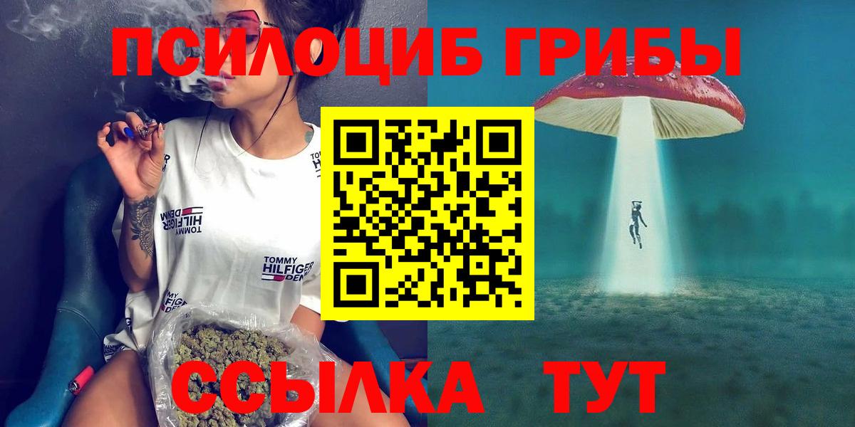 Псилоцибиновые грибы Psilocybe Ковров